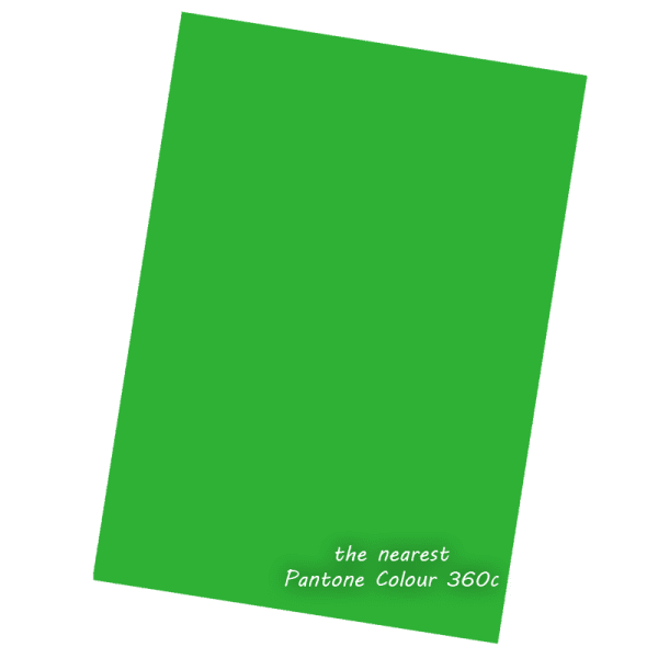 Tropical Green Paper 120gsm
