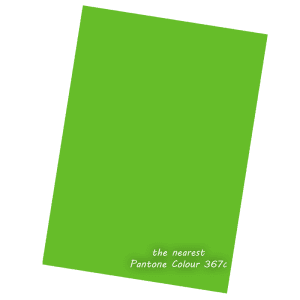 Apple Green 250gsm